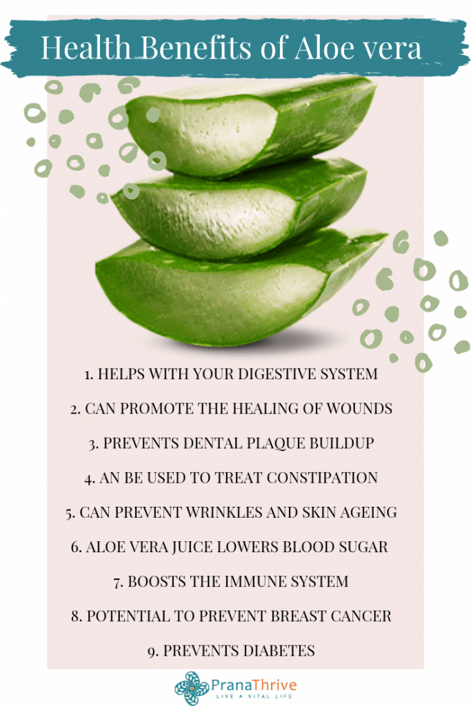 Gut Healing Aloe Vera & Cucumber Juice (w/Benefits Of Aloe) | Prana Thrive